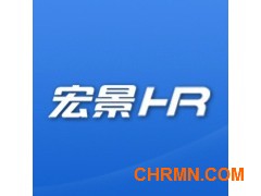 宏景软件——宏景e-HR