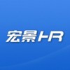 宏景软件——宏景e-HR