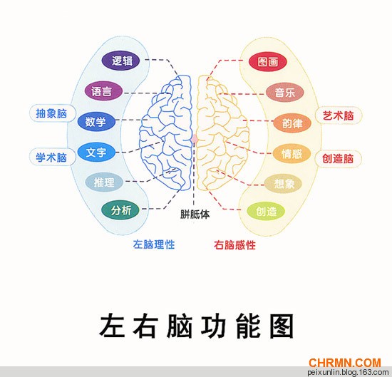 银行业中高层课程 ---全脑思维与问题解决 - 林大雍 - 林大雍