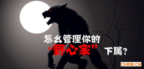 怎么管理你的“野心家”下属?