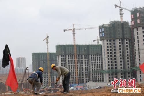 中新社记者 武俊杰 摄