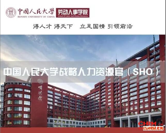 sho 头图1