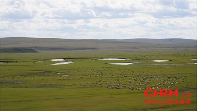 呼伦贝尔草原 &copy;️WWF