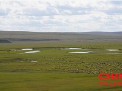 自然向好 商业向善：WWF携手金典引领奶业全链条可持续发展