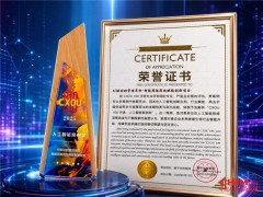 神州数码"AI驱动的管理革命——智能周报高效赋能创新项目"荣获2025 CXOU 100人工智能案例奖