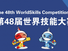 第48届世界技能大赛中国代表团创历史最好成绩 参加全部64个项目斩获41金11银4铜 位列金牌榜奖牌榜团体总分世界第一