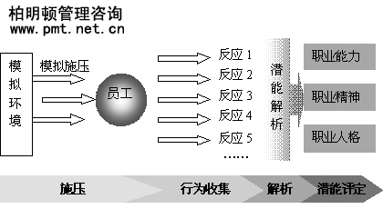 柏明顿管理咨询