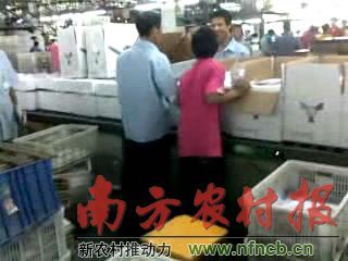 正在干活的童工,背后还放着一把凳子 正在干活的童工,背后还放着一把凳子